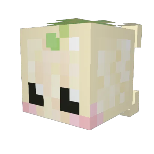 Mnyame Minecraft avatar head, 3D render