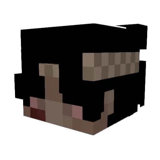 Mnyc Minecraft avatar head, 3D render