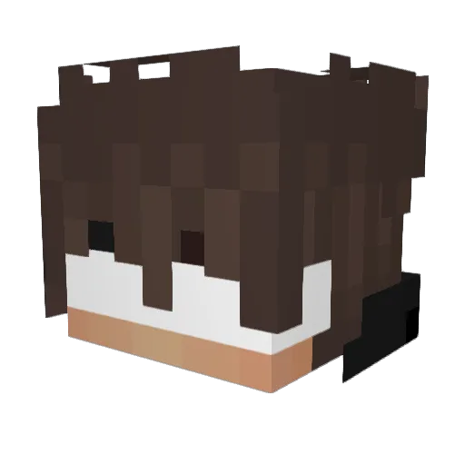Mo0n0s Minecraft avatar head, 3D render