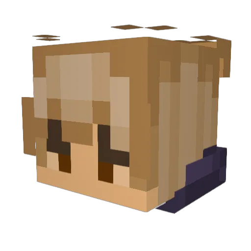 MoKi2006 Minecraft avatar head, 3D render