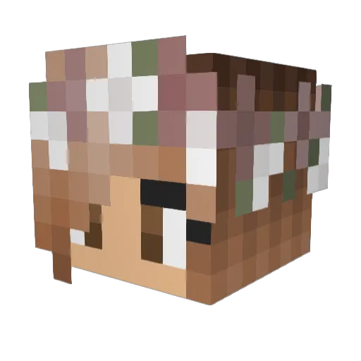 MoMo101761 Minecraft avatar head, 3D render