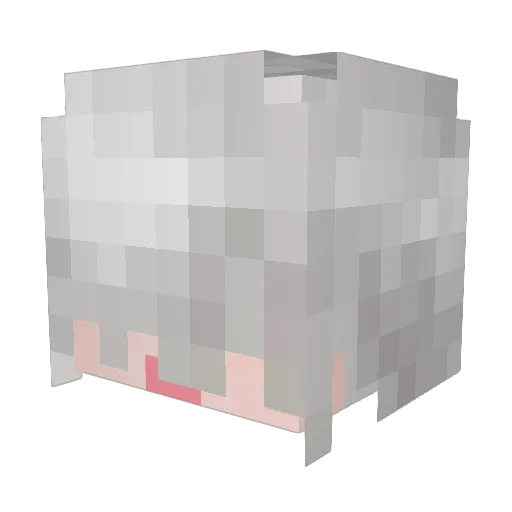 Mo_ga_ Minecraft avatar head, 3D render