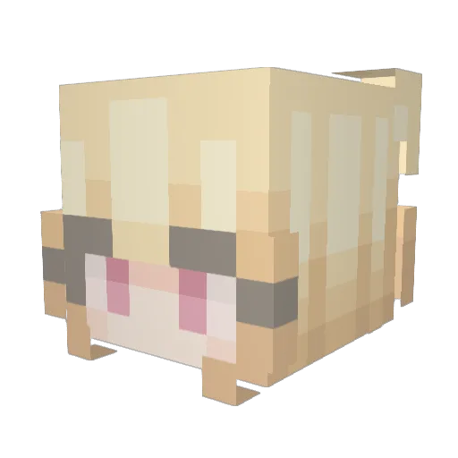 Moa2638 Minecraft avatar head, 3D render