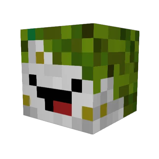 Moa71 Minecraft avatar head, 3D render
