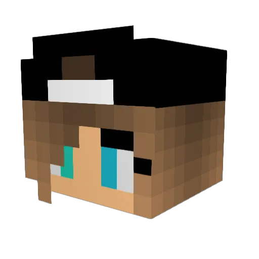 MoaBM04 Minecraft avatar head, 3D render