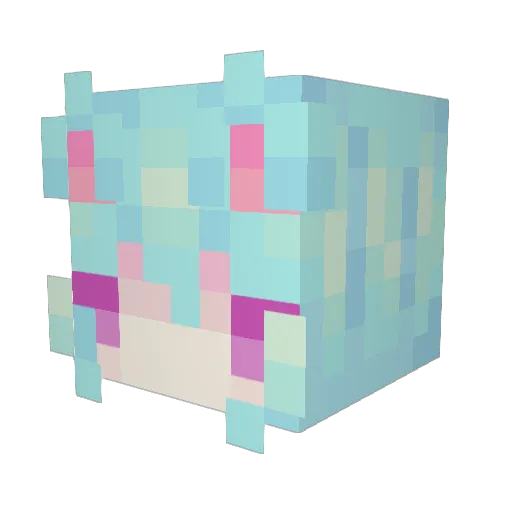 Moa_Myau Minecraft avatar head, 3D render