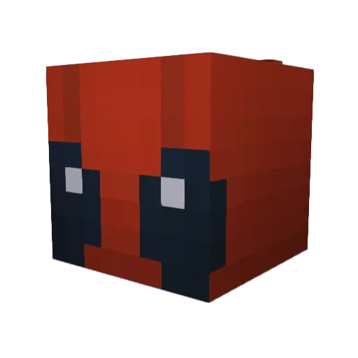 Mob_of_Narwhals Minecraft avatar head, 3D render