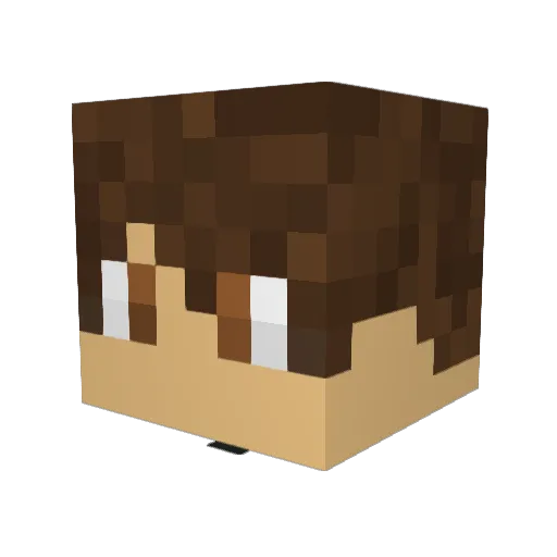 Mobslayer273 Minecraft avatar head, 3D render