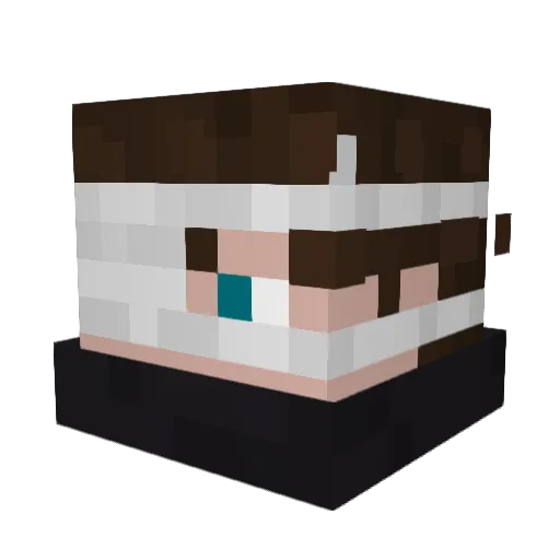 MobsterFrog Minecraft avatar head, 3D render