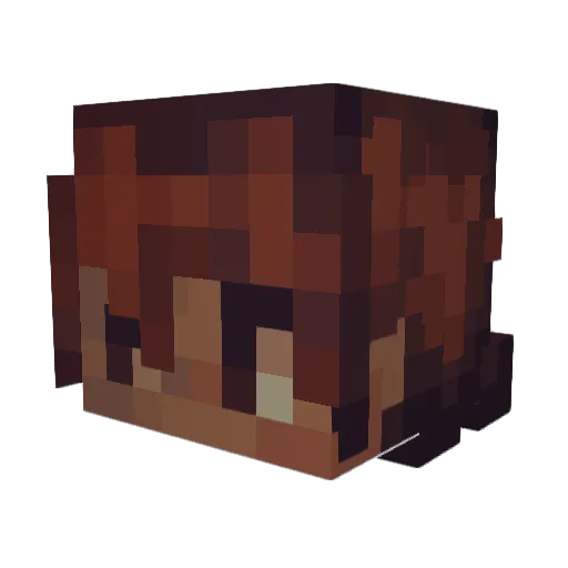 Minecraft-Avatar von Mocha_Jester: Kopf als 3D-Render