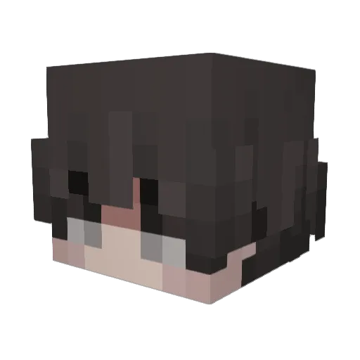 Mocha__Wolf Minecraft avatar head, 3D render