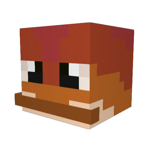 MochaorRay Minecraft avatar head, 3D render