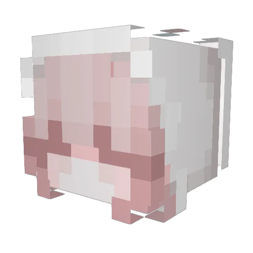 Mochaug Minecraft avatar head, 3D render