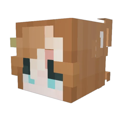 Mochi0830 Minecraft avatar head, 3D render