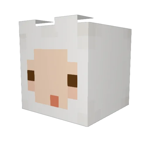 Mochi6605 Minecraft avatar head, 3D render