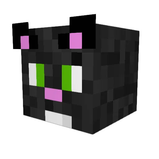 MochiDaCat Minecraft avatar head, 3D render