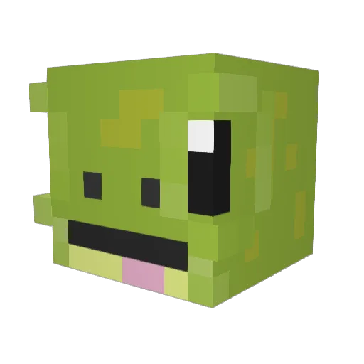 MochiMushu Minecraft avatar head, 3D render