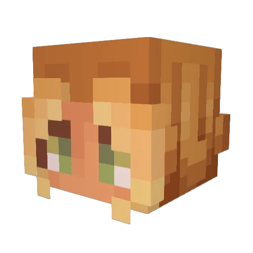 Mochi_Cheeks Minecraft avatar head, 3D render