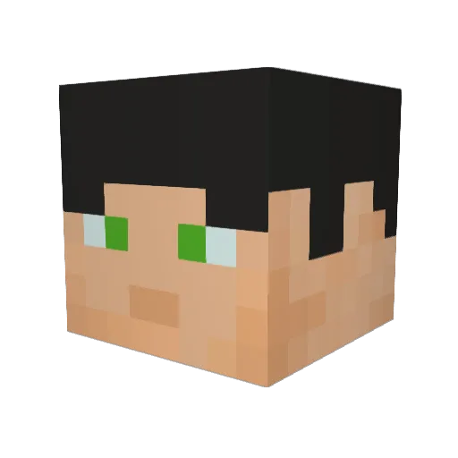 Mochii404 Minecraft avatar head, 3D render
