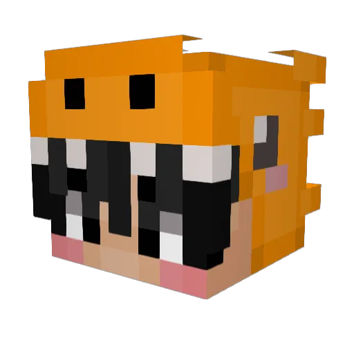 Mochiill Minecraft avatar head, 3D render