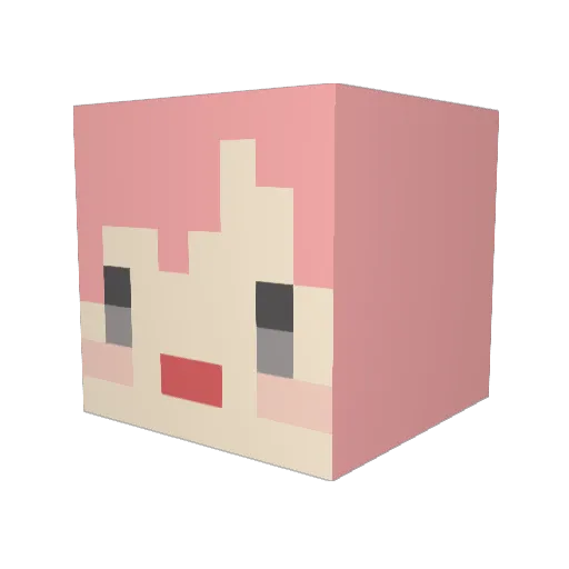 Mochiko818 Minecraft avatar head, 3D render
