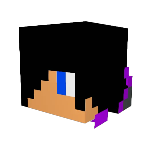 MockingJay312 Minecraft avatar head, 3D render