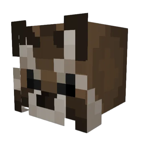 Modelo_Jay Minecraft avatar head, 3D render