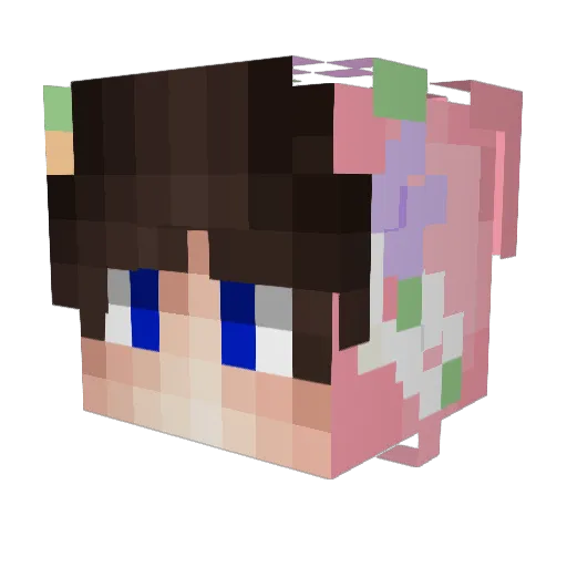 ModosYT Minecraft avatar head, 3D render