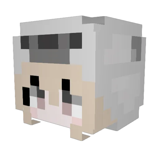 ModuIe Minecraft avatar head, 3D render