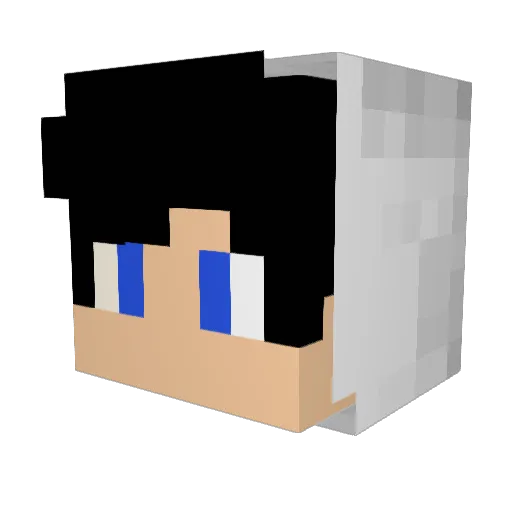 Modz_HD Minecraft avatar head, 3D render
