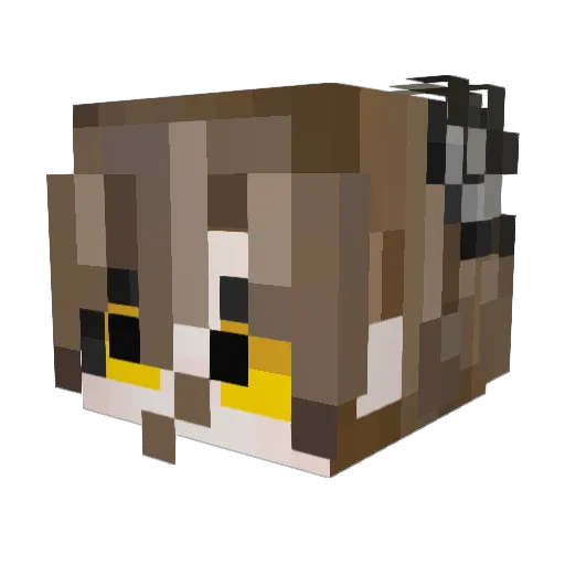 MoeJoeFloww Minecraft avatar head, 3D render