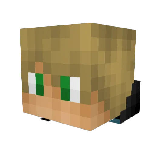 Moe_Holter Minecraft avatar head, 3D render
