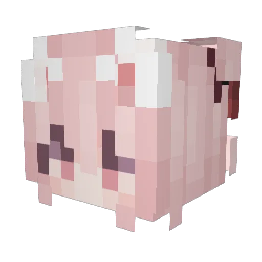 Moe_Neko_Kawai Minecraft avatar head, 3D render
