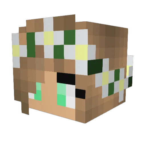 MoedertjeNatuur Minecraft avatar head, 3D render