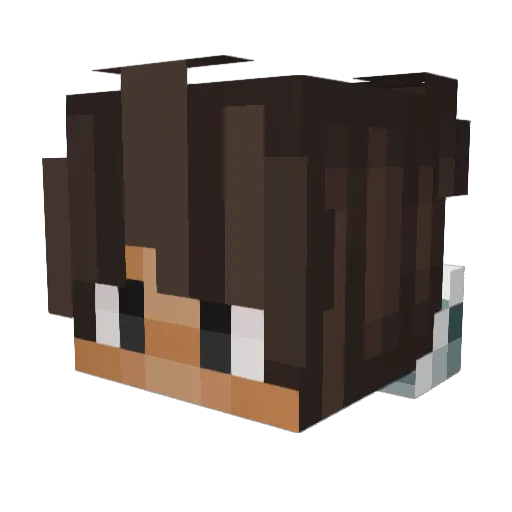 Moekoe14 Minecraft avatar head, 3D render