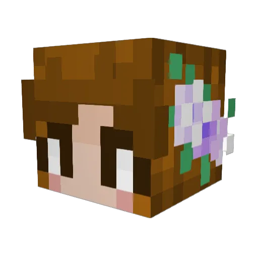 Moelassess Minecraft avatar head, 3D render