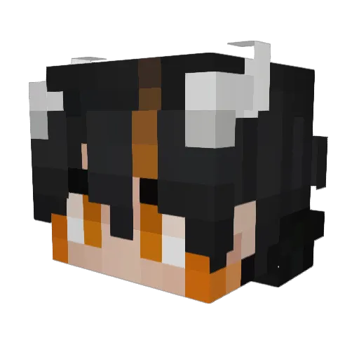 Minecraft-Avatar von MoenD: Kopf als 3D-Render