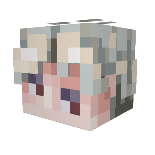 Mofagh Minecraft avatar head, 3D render