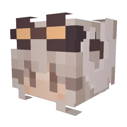 Mofu_Tofu Minecraft avatar head, 3D render