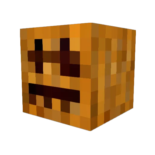 Moggle__ Minecraft avatar head, 3D render
