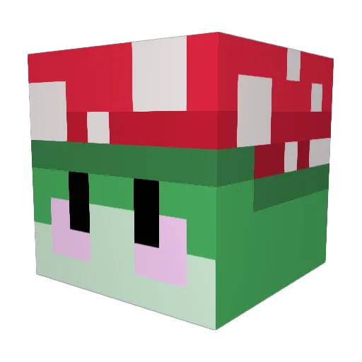 Mogo1212 Minecraft avatar head, 3D render