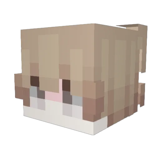 Mohak_ Minecraft avatar head, 3D render