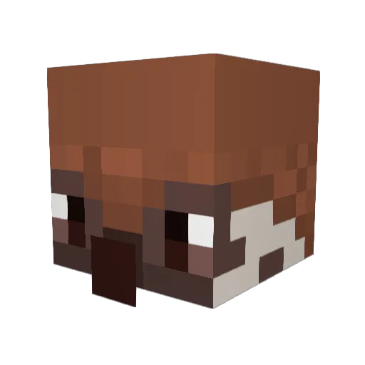 MoineauLOiseau Minecraft avatar head, 3D render