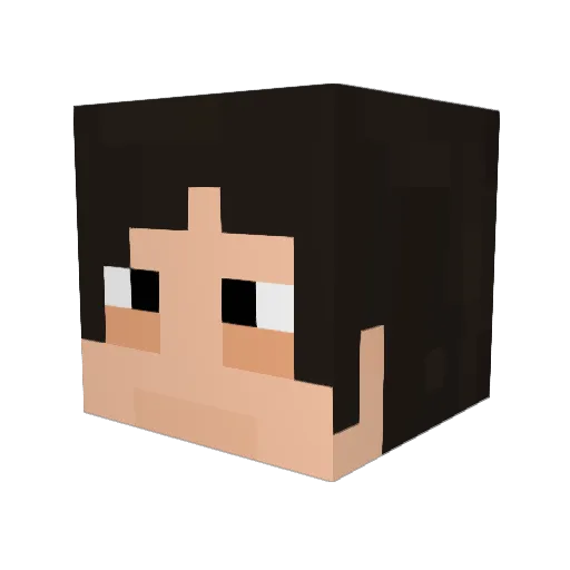 Moist0224 Minecraft avatar head, 3D render