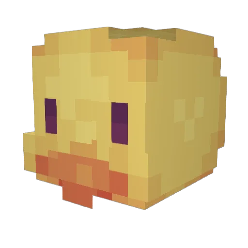 MoistKoala Minecraft avatar head, 3D render
