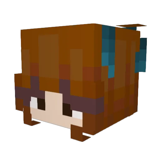MoistPenguan Minecraft avatar head, 3D render