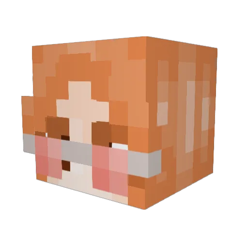 Moistkitten Minecraft avatar head, 3D render