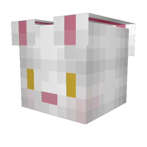 Mokaii Minecraft avatar head, 3D render