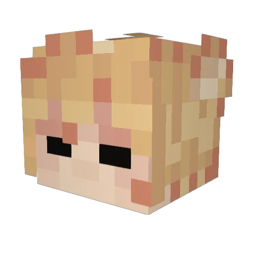 Mokaseeds Minecraft avatar head, 3D render