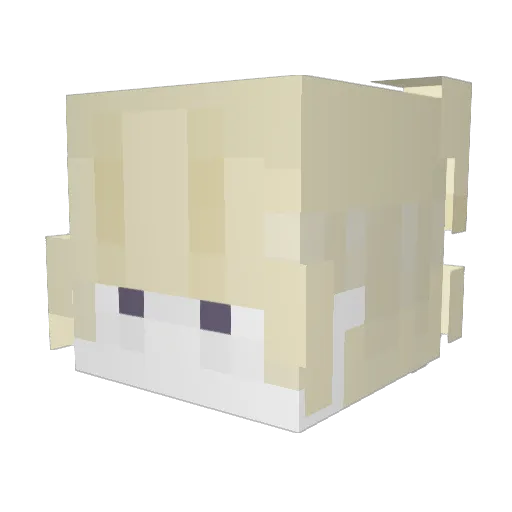 Mokiaa_ Minecraft avatar head, 3D render
